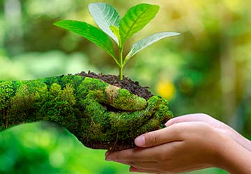 Green Energy Sustainability